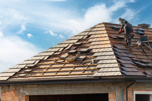 Best Sheet Metal Roofing  in Jonesborough, TN